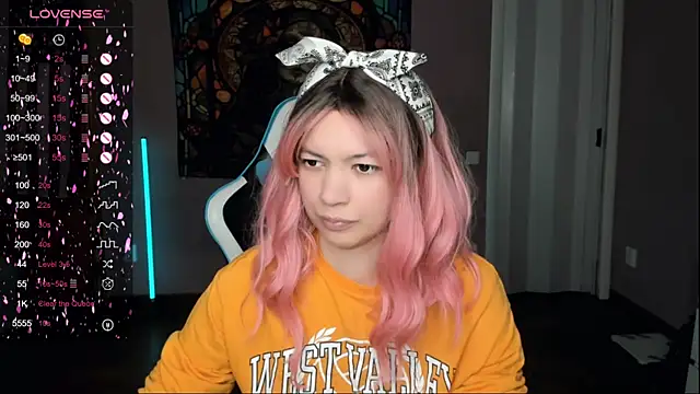 Snapshot of Project_hisoka chatting on November 14, 2025, 11:25 am Project hisoka online show from November 14, 2025, 11:25 am