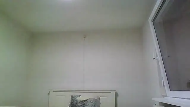 Snapshot of Wesleymodel chatting on February 10, 2026, 7:24 pm Wesleymodel online show from February 10, 2026, 7:24 pm