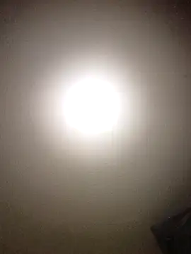pineda1689 online show from May 19, 2026, 4:58 pm