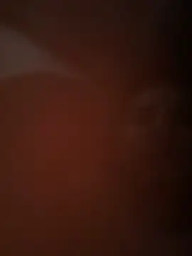 MynameisPaco online show from January 17, 2026, 1:04 pm