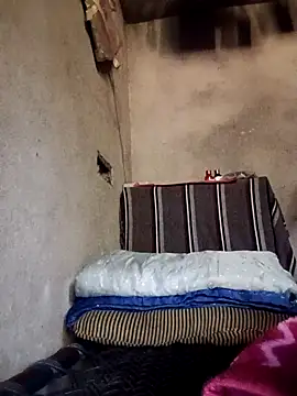 Yasha 14C Creator online show from December 4, 2025, 5:17 am