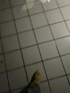 nowex18 online show from February 20, 2026, 4:53 am