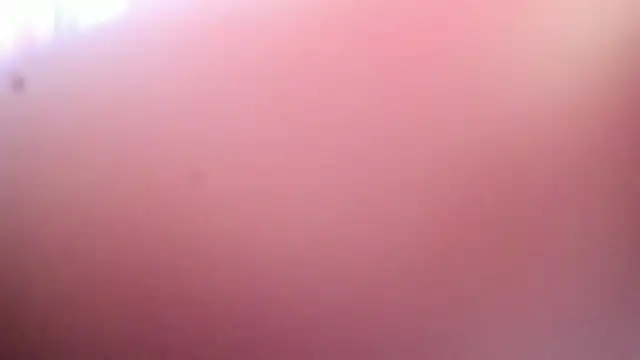 Dana Jeins online show from July 29, 2026, 7:24 pm