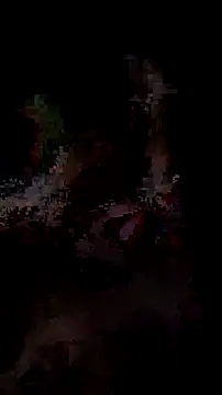 doctorhandyandy online show from October 30, 2025, 4:33 am