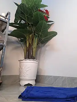 Snapshot of Dawn_hope chatting on March 24, 2026, 9:42 am Dawn hope online show from March 24, 2026, 9:42 am