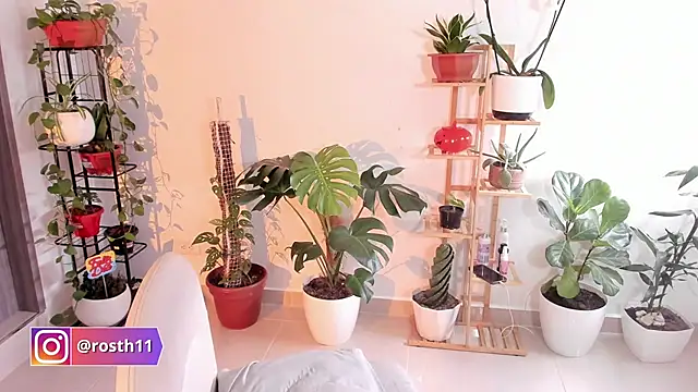 Snapshot of rossth1 chatting on November 11, 2025, 8:36 pm rossth1 online show from November 11, 2025, 8:36 pm