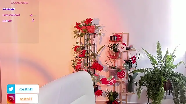 Snapshot of rossth1 chatting on November 26, 2025, 7:03 pm rossth1 online show from November 26, 2025, 7:03 pm