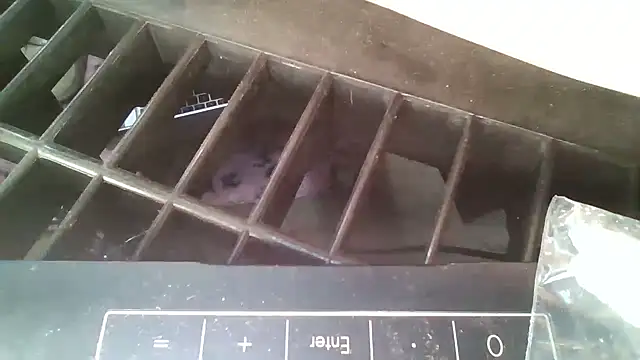 allissonw13 online show from October 23, 2025, 8:46 am