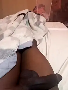 cranes293 online show from December 29, 2024, 6:03 am