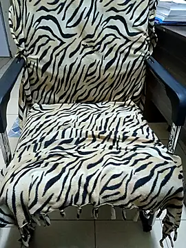 cranes293 online show from November 8, 2025, 4:10 pm