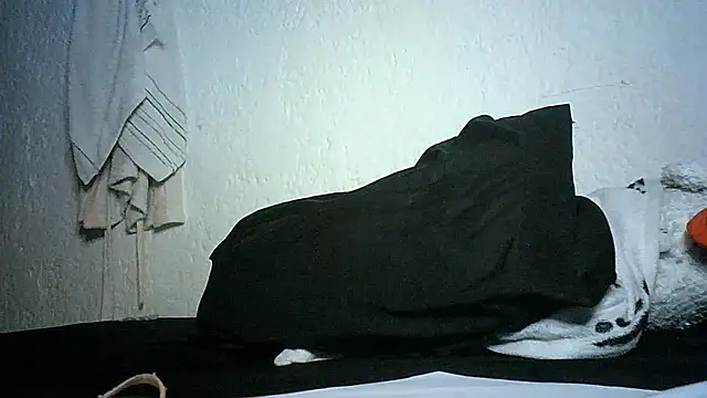 Snapshot of Bellabeltrann chatting on November 28, 2025, 11:49 pm Bellabeltrann online show from November 28, 2025, 11:49 pm