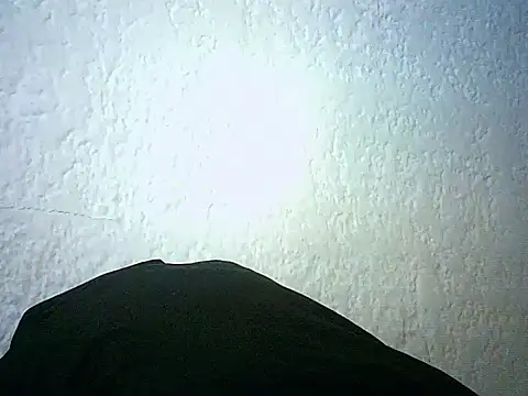 Snapshot of Bellabeltrann chatting on January 14, 2026, 12:42 pm Bellabeltrann online show from January 14, 2026, 12:42 pm