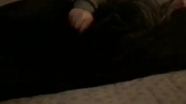 Snapshot of Rock_Pierce chatting on February 28, 2026, 1:22 pm Rock Pierce online show from February 28, 2026, 1:22 pm