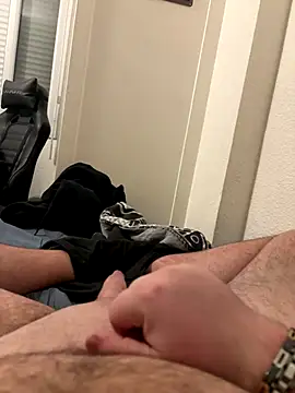 aquarium2345 online show from December 17, 2025, 11:48 am