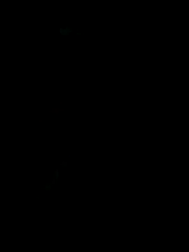 dimitriei online show from November 16, 2025, 8:08 am