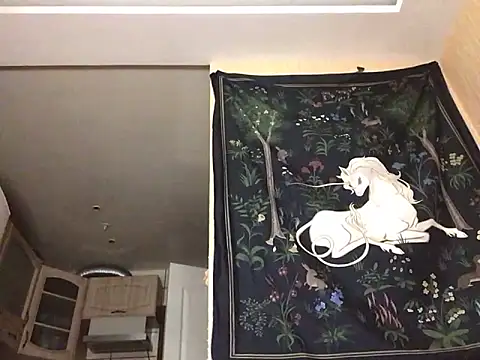 Snapshot of Dragonflyy chatting on January 12, 2025, 6:27 pm Dragonflyy online show from January 12, 2025, 6:27 pm