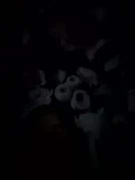 palorid online show from January 14, 2026, 9:29 pm