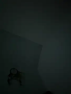 VixyGang online show from February 19, 2026, 7:49 am