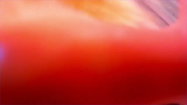 Snapshot of Eva_Davi chatting on March 23, 2026, 3:06 am Eva Davi online show from March 23, 2026, 3:06 am