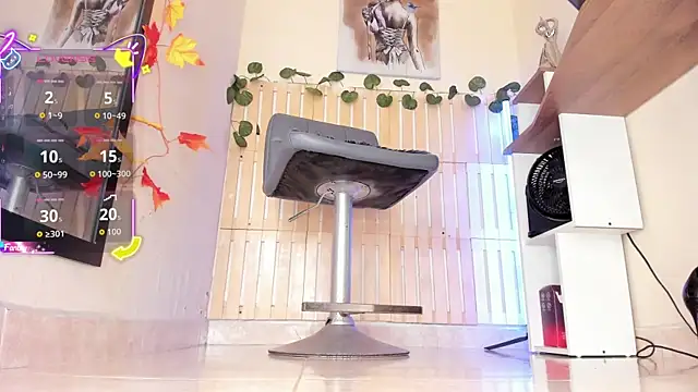 thais dreams online show from February 11, 2026, 12:27 pm