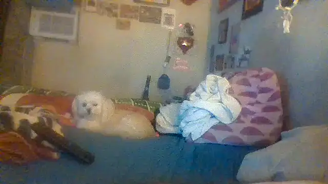 hornyrich69 online show from December 22, 2024, 7:54 am