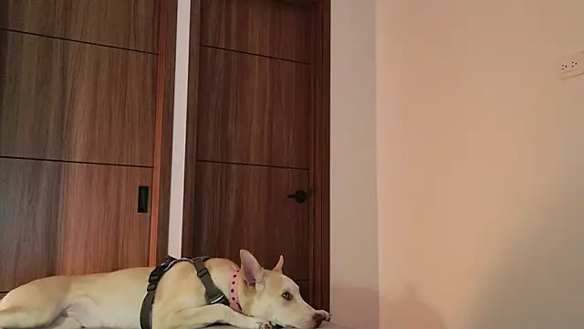 Snapshot of Hot_Couple666 chatting on September 9, 2025, 1:49 am Hot Couple666 online show from September 9, 2025, 1:49 am