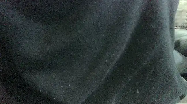 Snapshot of robeaulieu02 chatting on February 23, 2025, 12:48 pm robeaulieu02 online show from February 23, 2025, 12:48 pm