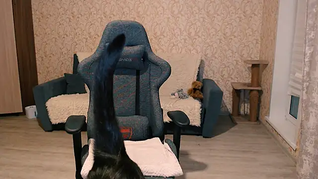 Snapshot of PDiddy_ chatting on February 15, 2025, 7:50 pm PDiddy  online show from February 15, 2025, 7:50 pm