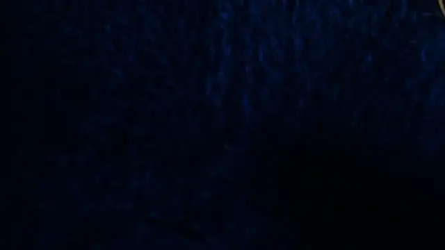 LilithSmith  online show from February 2, 2026, 11:42 am