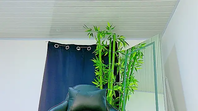 scarlet-jonesx online show from November 27, 2025, 9:04 pm