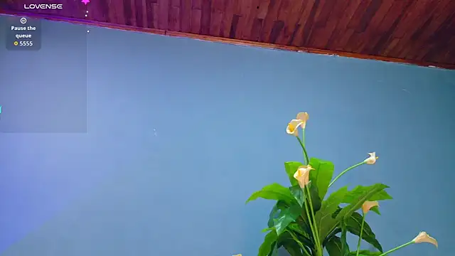 french sexx online show from September 18, 2025, 1:30 am