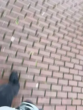 0maxx00 online show from December 19, 2024, 2:13 pm