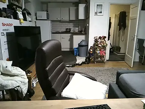 mihaimichael online show from January 14, 2026, 10:57 pm