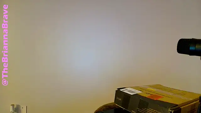 Snapshot of BriannaBrave chatting on February 11, 2026, 7:36 pm BriannaBrave online show from February 11, 2026, 7:36 pm