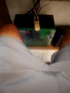 betinhodelas online show from October 18, 2025, 5:15 pm