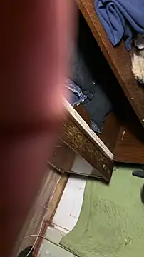 Ariel Ari online show from November 5, 2025, 3:42 am