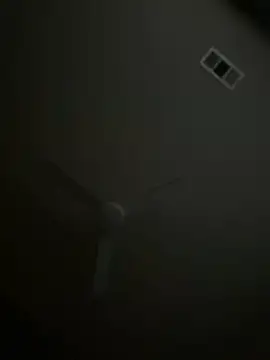 goldbuni online show from November 9, 2025, 12:42 pm