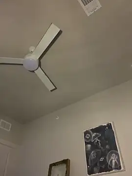 goldbuni online show from December 19, 2025, 3:54 am