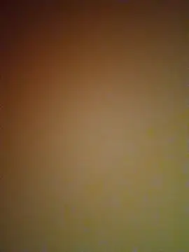 Snapshot of mendelicius chatting on December 15, 2024, 5:10 pm mendelicius online show from December 15, 2024, 5:10 pm