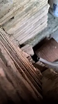 Snapshot of mendelicius chatting on September 9, 2025, 11:52 am mendelicius online show from September 9, 2025, 11:52 am