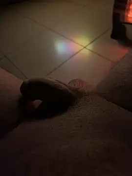 Antalyaburak online show from February 14, 2025, 1:13 am