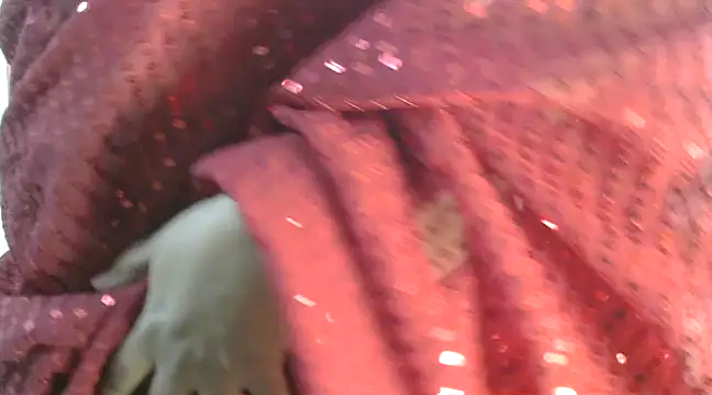 rehana88 online show from March 17, 2025, 1:14 am