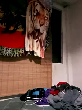 LECHEBALLS online show from January 29, 2025, 2:19 am