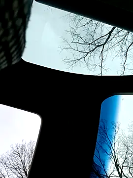 Alfrendino44 online show from February 19, 2026, 8:50 pm