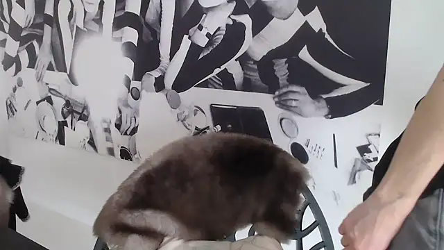 godinflower online show from February 21, 2026, 2:19 pm