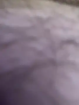 bigdickturk11 online show from April 13, 2026, 1:37 pm