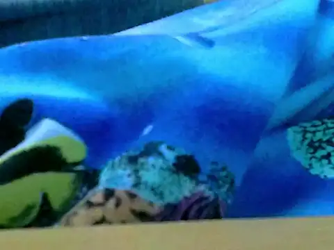 zhan7965 online show from December 30, 2024, 1:03 pm