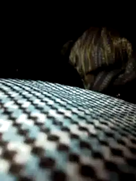 Snapshot of Policeman20742 chatting on February 18, 2025, 3:52 pm Policeman20742 online show from February 18, 2025, 3:52 pm