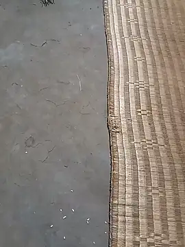 hairipussy2 online show from February 6, 2025, 1:21 pm