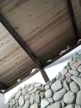 Snapshot of Freddy1962 chatting on December 12, 2024, 6:53 pm Freddy1962 online show from December 12, 2024, 6:53 pm